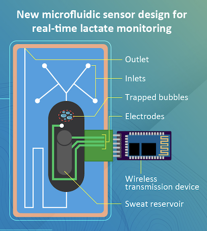 Wearable Sensor Measures Sweat Lactate Levels During Exercise